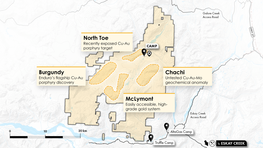 Newmont Lake Priority Targets (1)